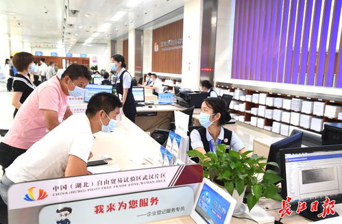 武漢市政府推動(dòng)新能源技術(shù)發(fā)展，構(gòu)建綠色低碳未來(lái)